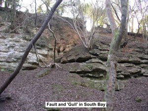 The fault and 'gull' in the south bay