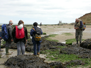 A small group of members among the seaweed-covered rocks on the foreshore