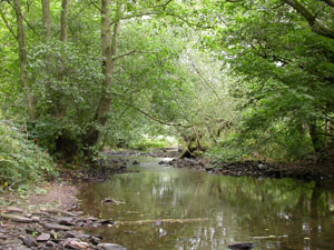 The river Onny alongside the geology trail