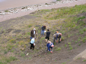 Some members searching for fossils and selenite crystals in the scree at the foot of the cliffs