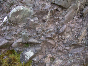 Site No. 11 - Conglomerate deposited above the Brathay Flags in a desert environment