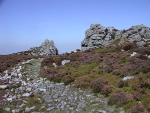 Part of the Stiperstones ridge path