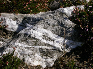White quartz intrusions into grey quartzite rock